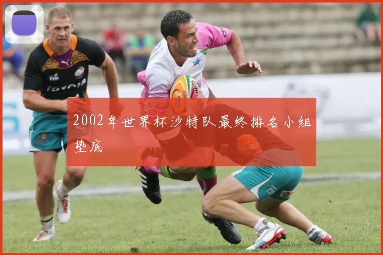 2002年世界杯沙特队最终排名小组垫底