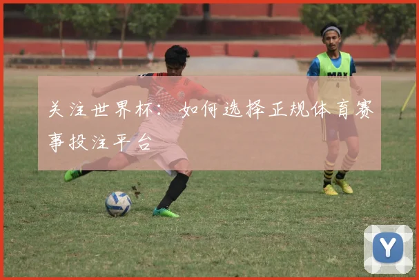 关注世界杯：如何选择正规体育赛事投注平台