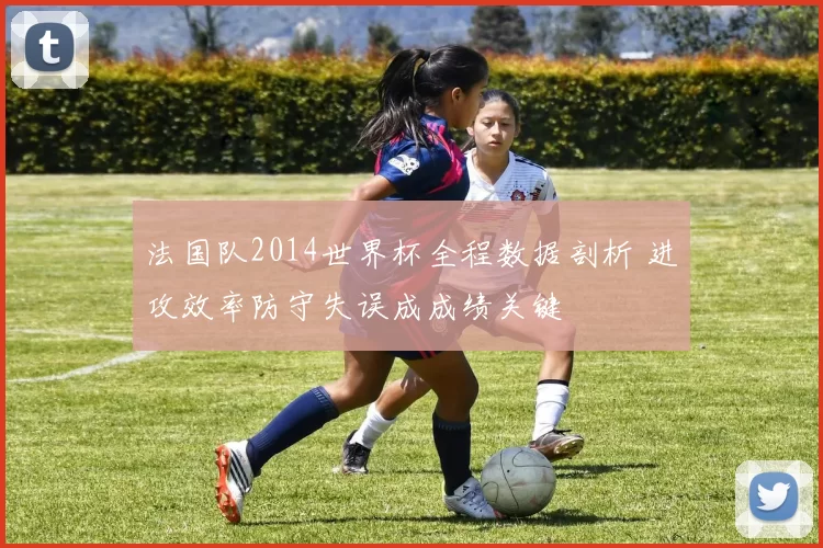 法国队2014世界杯全程数据剖析 进攻效率防守失误成成绩关键