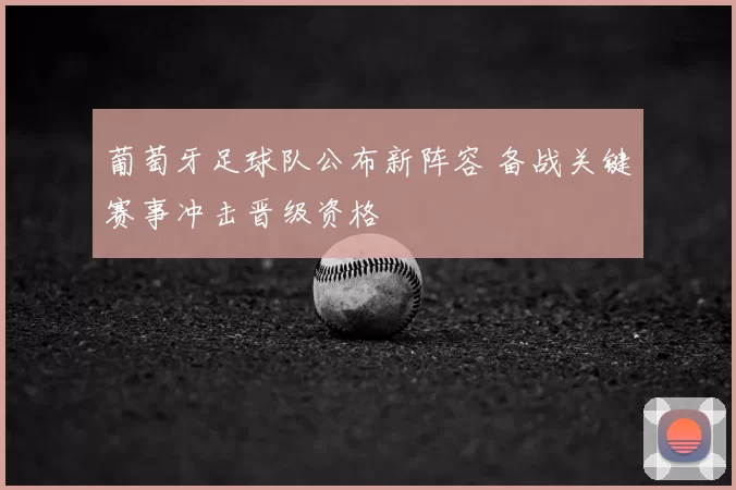 葡萄牙足球队公布新阵容 备战关键赛事冲击晋级资格