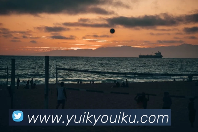 App Interface Preview